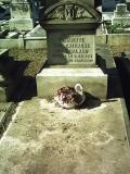 image of grave number 356976
